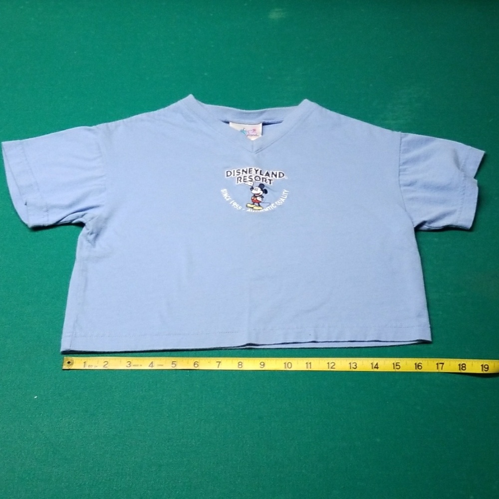 Disneyland Resort crop top